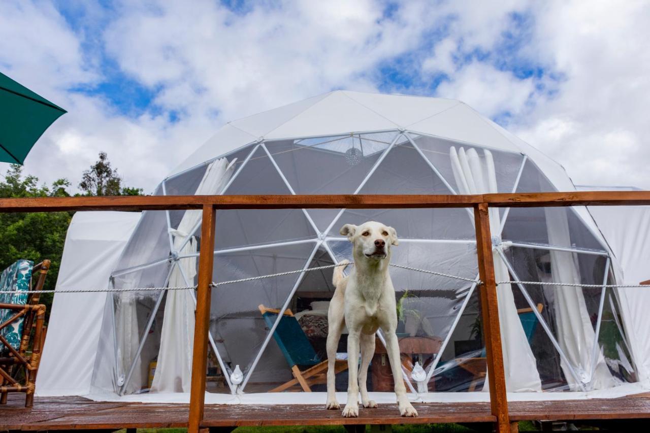 Glamping Claro De Luna Hotel Guatavita Exterior photo